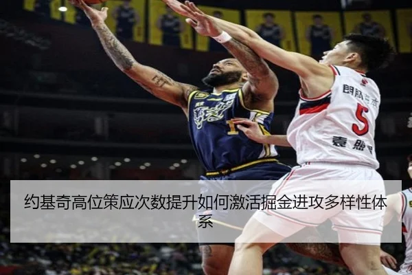约基奇高位策应次数提升如何激活掘金进攻多样性体系