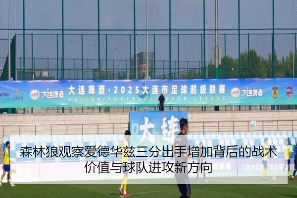 森林狼观察爱德华兹三分出手增加背后的战术价值与球队进攻新方向